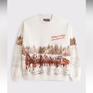 Abercrombie and Fitch graphic crew sweatshirt